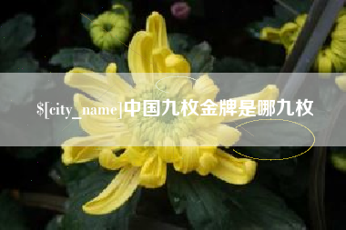 泉州中国九枚金牌是哪九枚