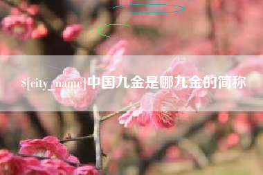 泉州中国九金是哪九金的简称