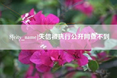 泉州失信被执行公开网查不到