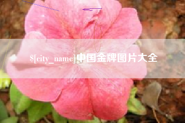 泉州中国金牌图片大全