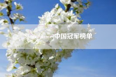 泉州中国冠军榜单