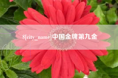 泉州中国金牌第九金