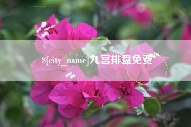 泉州九宫排盘免费