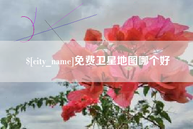 泉州免费卫星地图哪个好