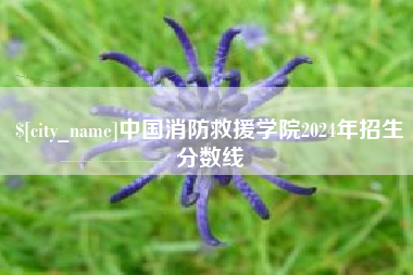 泉州中国消防救援学院2024年招生分数线