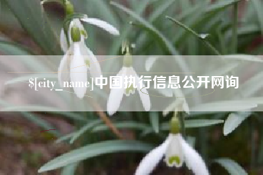 泉州中国执行信息公开网询