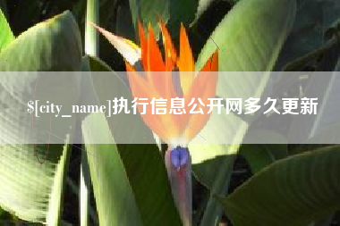 泉州执行信息公开网多久更新