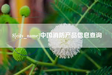 泉州中国消防产品信息查询