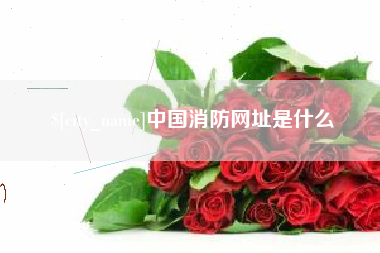 泉州中国消防网址是什么