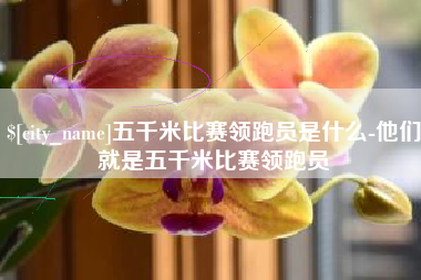 泉州五千米比赛领跑员是什么-他们就是五千米比赛领跑员