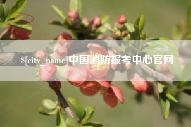 泉州中国消防报考中心官网