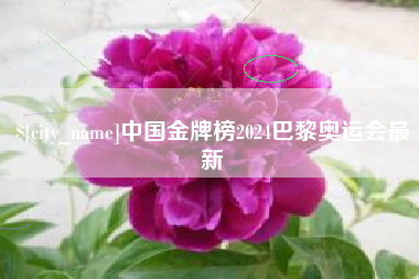泉州中国金牌榜2024巴黎奥运会最新
