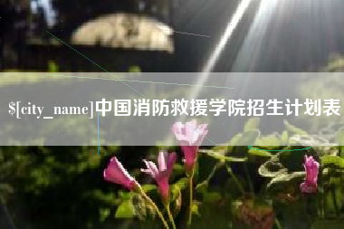 泉州中国消防救援学院招生计划表