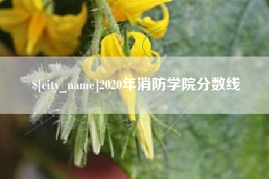 泉州2020年消防学院分数线
