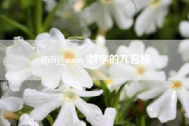泉州数字的九宫格