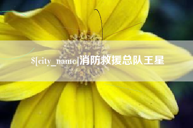 泉州消防救援总队王星