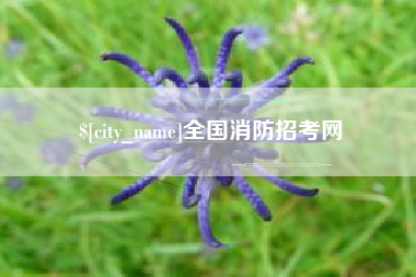 泉州全国消防招考网
