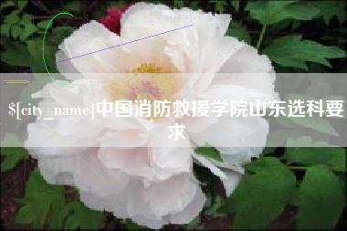 泉州中国消防救援学院山东选科要求