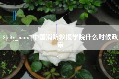 泉州中国消防救援学院什么时候政审