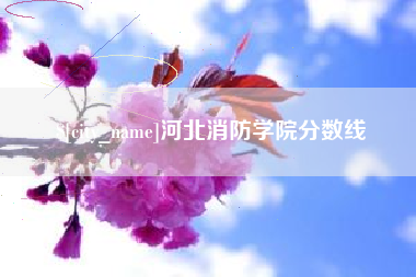 泉州河北消防学院分数线