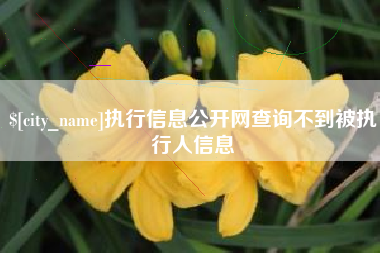泉州执行信息公开网查询不到被执行人信息