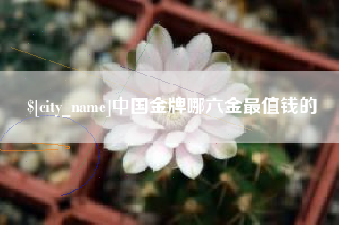 泉州中国金牌哪六金最值钱的