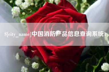 泉州中国消防产品信息查询系统1