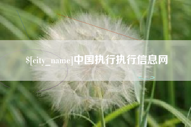 泉州中国执行执行信息网
