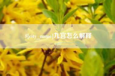 泉州九宫怎么解释
