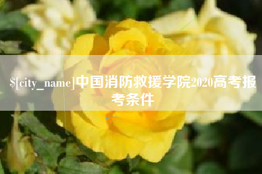 泉州中国消防救援学院2020高考报考条件