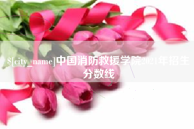 泉州中国消防救援学院2021年招生分数线