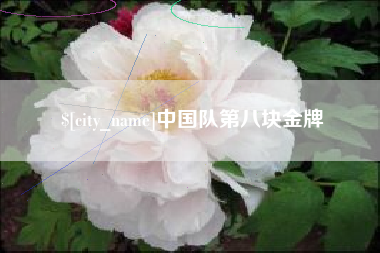 泉州中国队第八块金牌