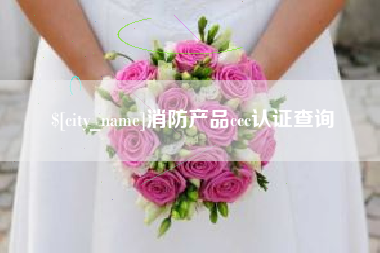 泉州消防产品ccc认证查询