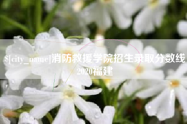 泉州消防救援学院招生录取分数线2020福建