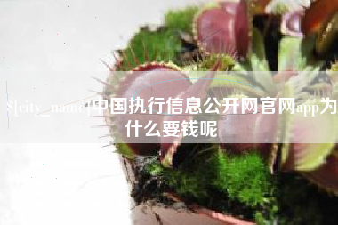 泉州中国执行信息公开网官网app为什么要钱呢