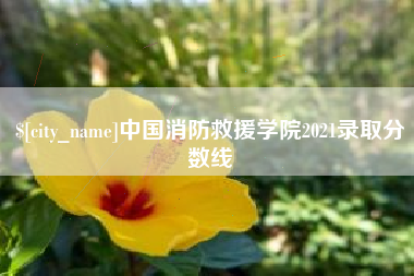 泉州中国消防救援学院2021录取分数线