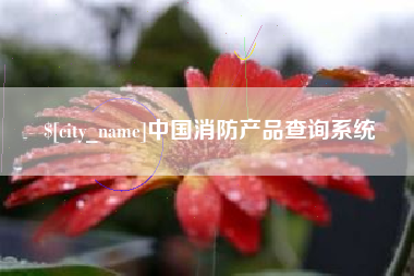 泉州中国消防产品查询系统