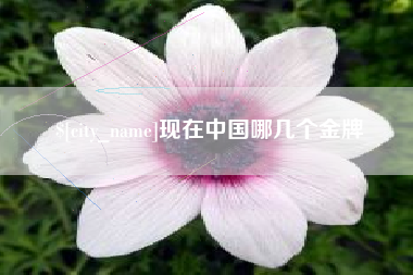 泉州现在中国哪几个金牌
