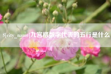 泉州九宫格数字代表的五行是什么