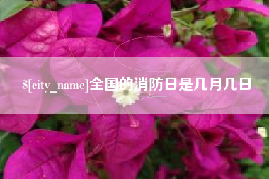 泉州全国的消防日是几月几日