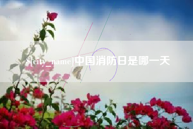 泉州中国消防日是哪一天