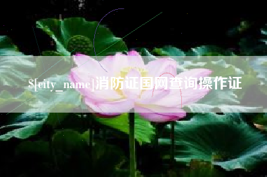 泉州消防证国网查询操作证