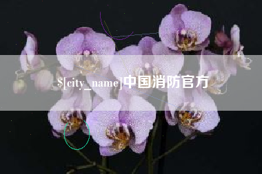 泉州中国消防官方