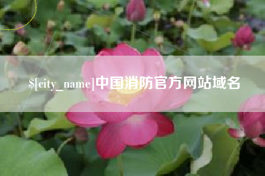 泉州中国消防官方网站域名