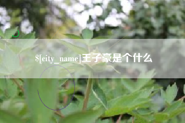 泉州王子豪是个什么