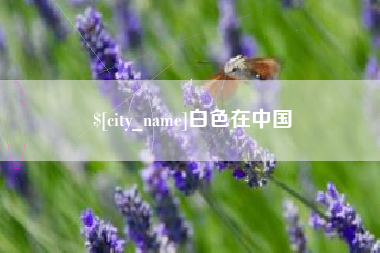 泉州白色在中国