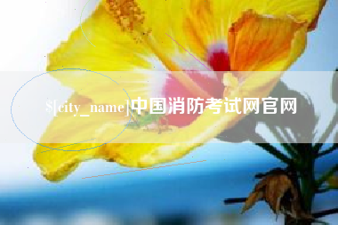 泉州中国消防考试网官网