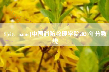 泉州中国消防救援学院2020年分数线