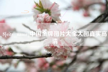 泉州中国金牌图片大全大图真实高清