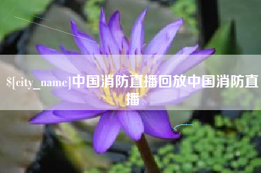 泉州中国消防直播回放中国消防直播